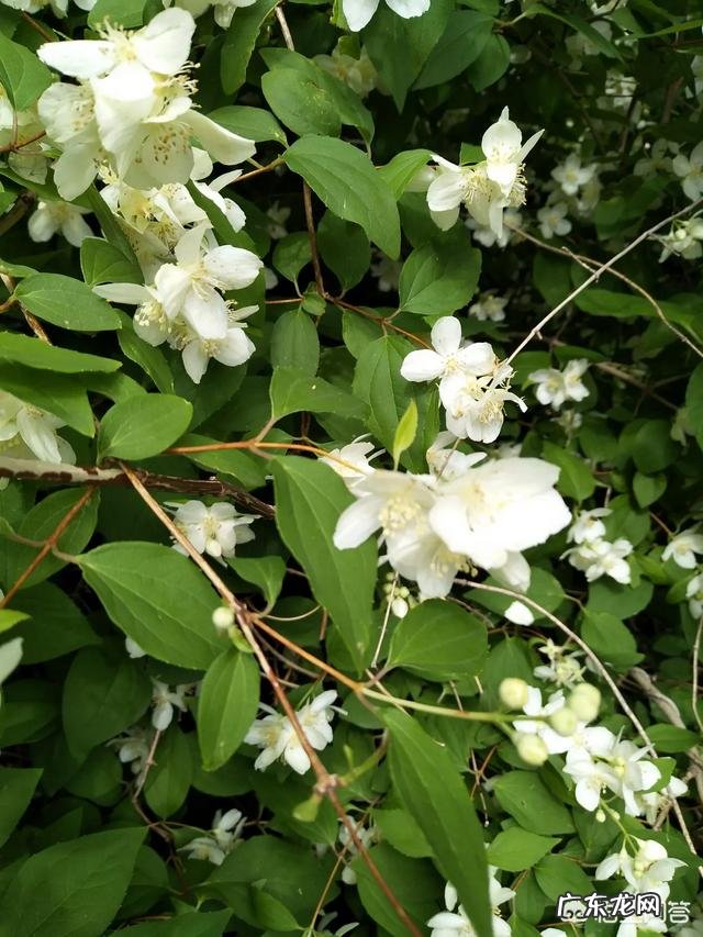 用足浴包泡脚有什么好处？
