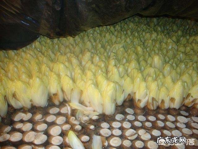 肝脏不好的人有哪些方面是需要注意