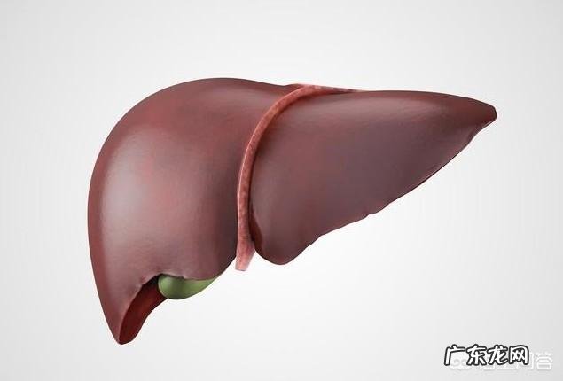肝脏不好的人有哪些方面是需要注意