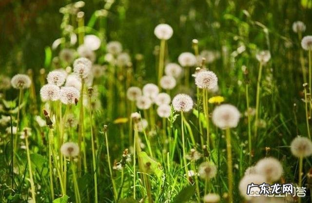 肝脏不好的人有哪些方面是需要注意