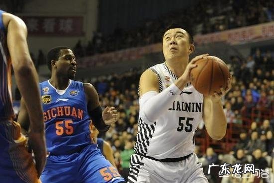 谁是当今CBAdiyi中锋？