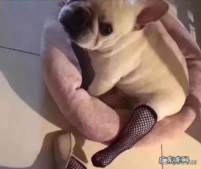 现在关于特种兵的电视剧有哪些 电视剧大全排行榜我是特种兵