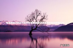 优酷不用会员的电视剧排行榜？ 电视剧排行榜前十名大全免费