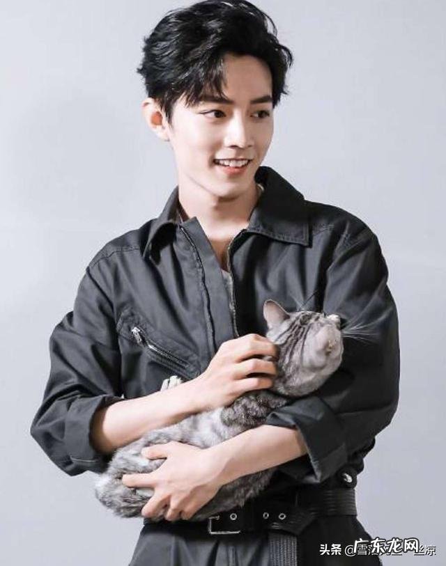 为什么现在有这么多粉丝不让爱豆谈恋爱