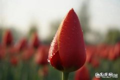 什么样的女人才算的上贤惠