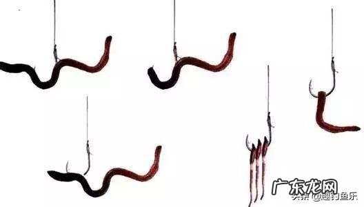 蚯蚓的日记蚯蚓的生活习性有哪些？