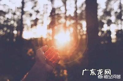 戒烟、戒酒、戒du、减肥，这几个里面，哪个最容易成功？