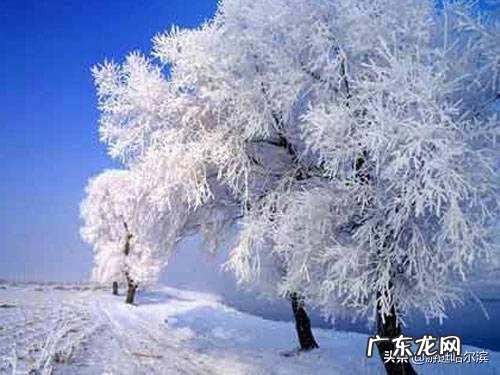 有些哈尔滨人为什么要冬泳