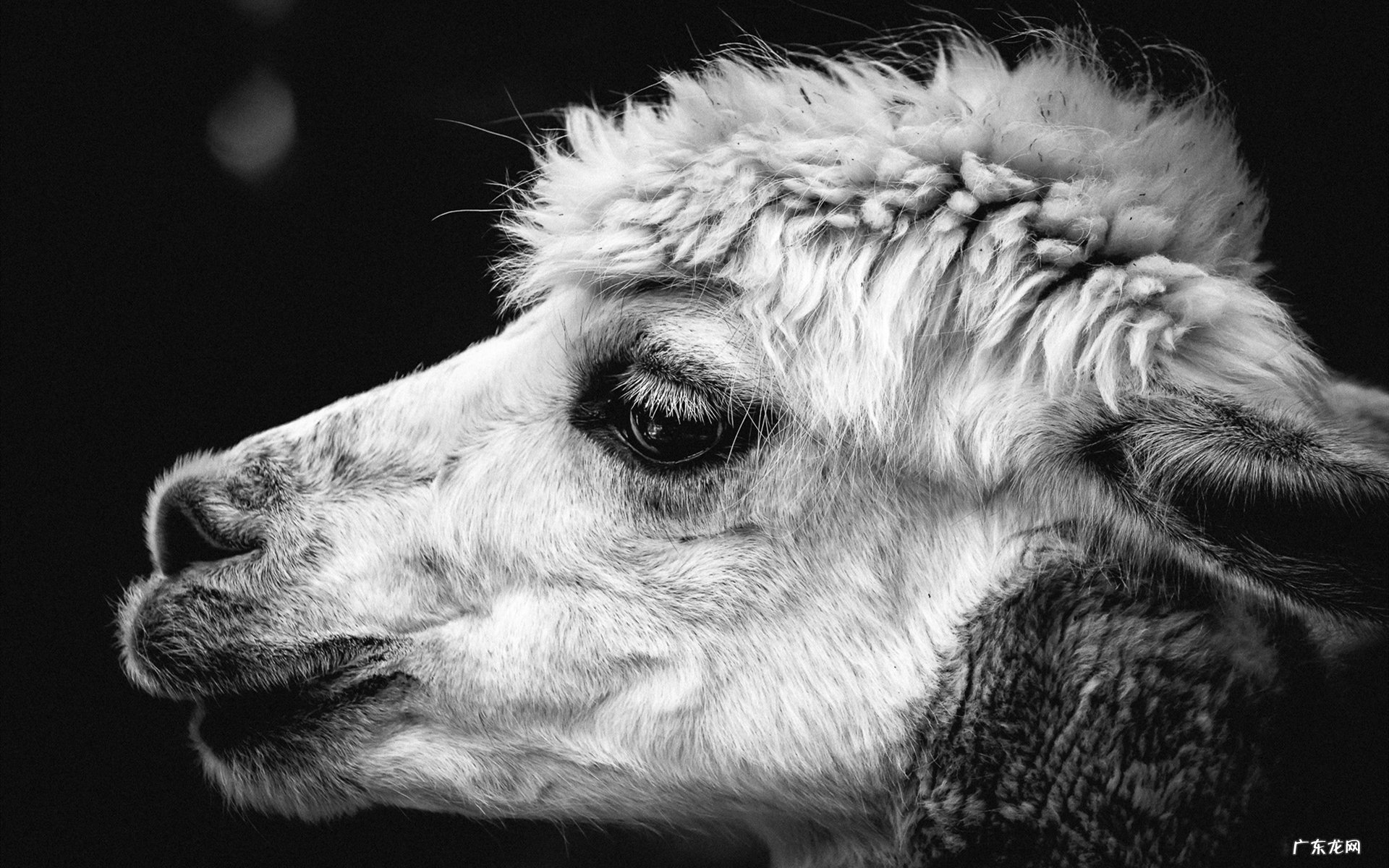 顺时针和逆时针，是怎么分辨的？