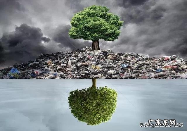 癌症和运动有关系吗有什么科学依据吗