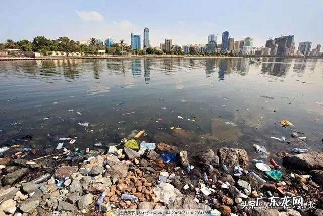 癌症和运动有关系吗有什么科学依据吗