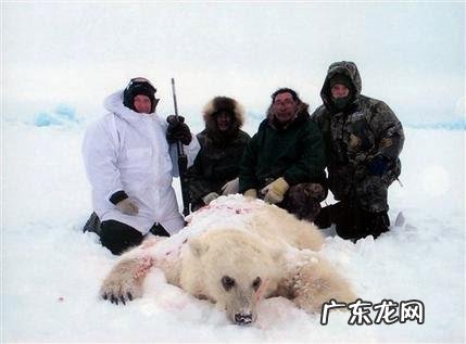 强壮的人类赤手空拳能打过北极熊吗