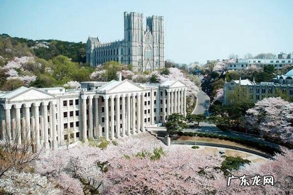 韩国化妆品品牌前十名 韩国著名的大学排行榜前十名