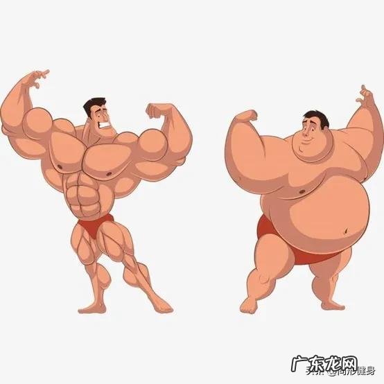 体脂 自重训练保持什么体重比较好，新手？