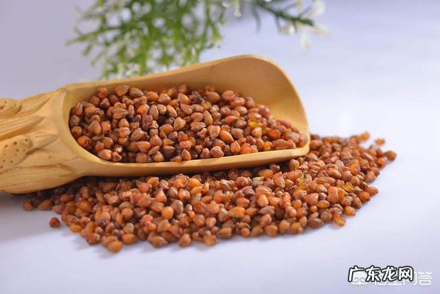 桑叶、决明子、枸杞、苦荞能管什么用?