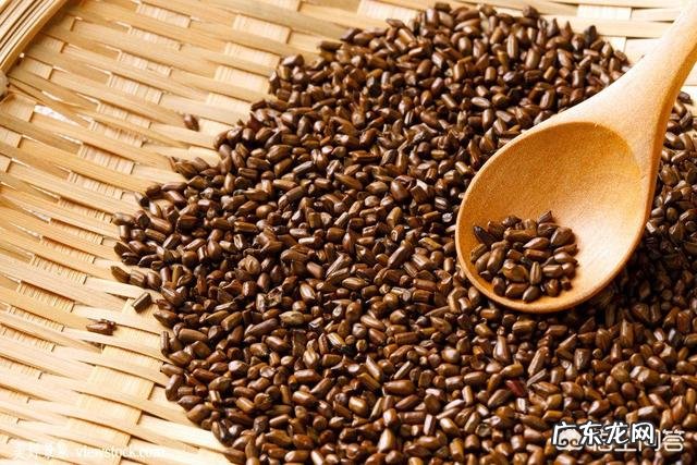 桑叶、决明子、枸杞、苦荞能管什么用?