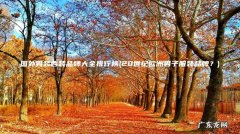 20世纪欧洲男子服装品牌？ 国外男装西装品牌大全排行榜