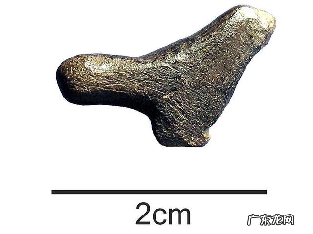 常见的神话动物雕塑有哪些? 公园动物雕塑排行榜大全