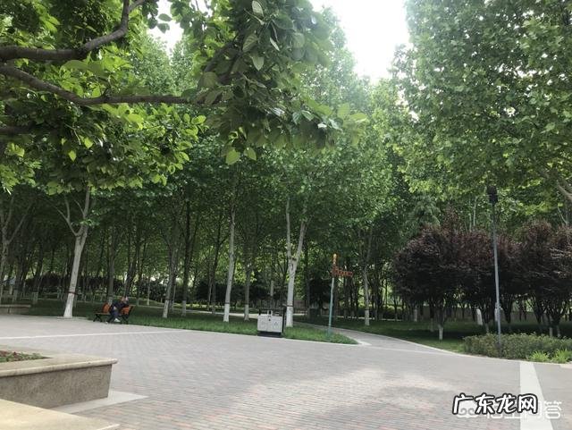 早上起床跑步喝功能性饮料行吗？