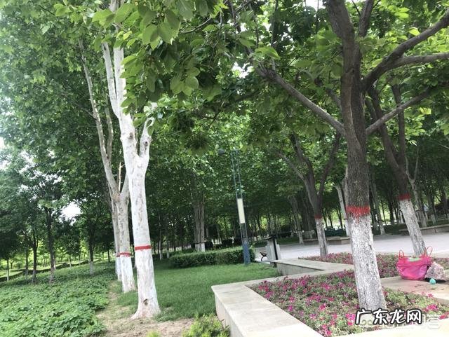 早上起床跑步喝功能性饮料行吗？