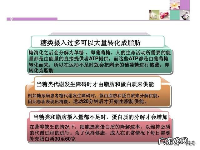为什么有些人从小到大都是个“小胖墩”肥胖也会遗传吗