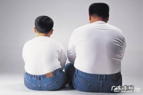 为什么有些人从小到大都是个“小胖墩”肥胖也会遗传吗