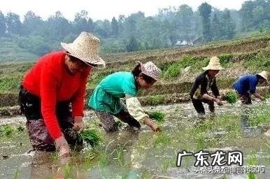 “人,一生中最该坚持的事,就是看书”你认同这句话吗为什么