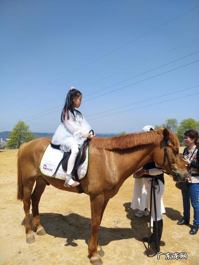 “人,一生中最该坚持的事,就是看书”你认同这句话吗为什么