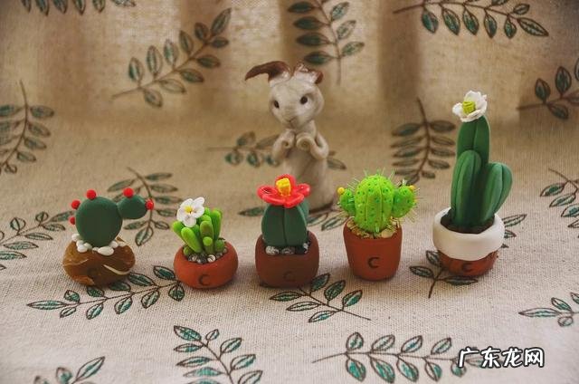 “人,一生中最该坚持的事,就是看书”你认同这句话吗为什么