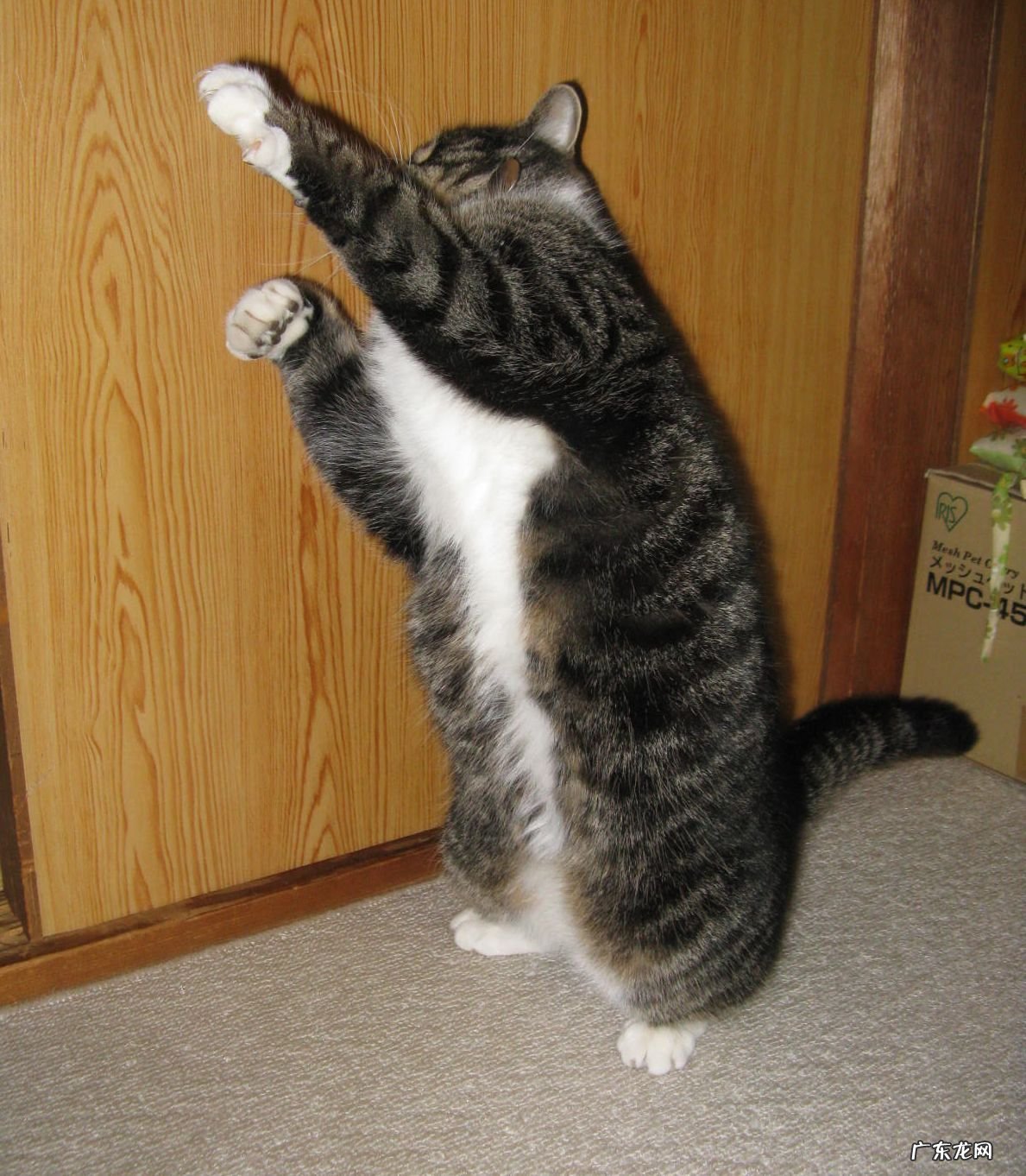 德国妮维雅最高端的护肤品是哪个?