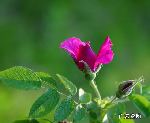 肝不好都写在脸上，身体哪几个地方能看出来