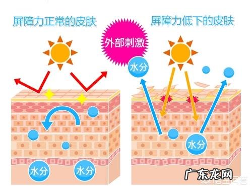 皮肤老化是怎么造成的呢?