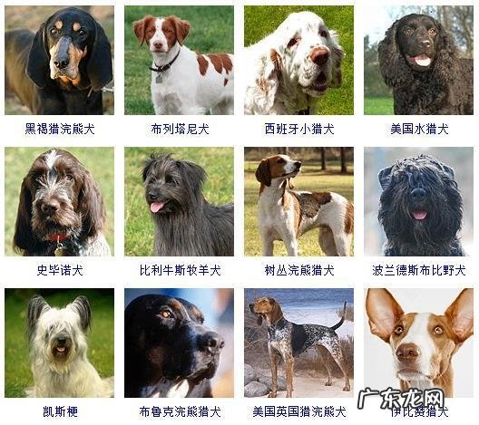 十二星座画画图片 好看的图片大全排行榜