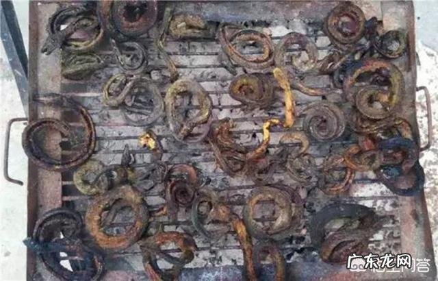 你们觉得在农村吃的健康还是在城市里吃的健康