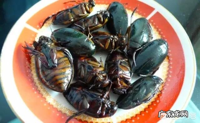 你们觉得在农村吃的健康还是在城市里吃的健康