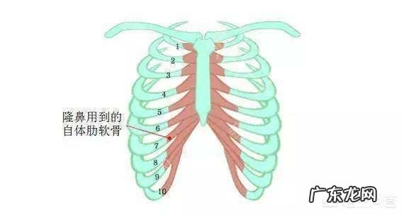 肋骨隆鼻后,肋骨会被吸收吗?原因是什么?需要注意哪些问题?