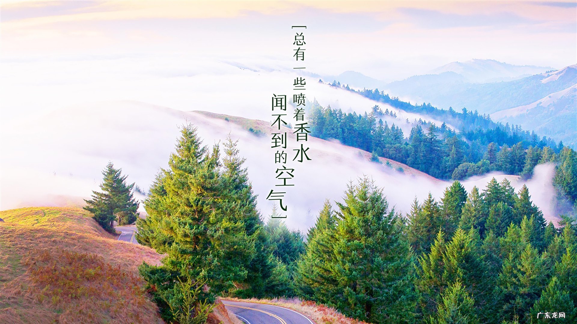 在上班时间内,如何快速减肥?