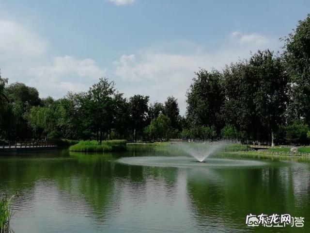 读书是默读还是朗读便于记忆