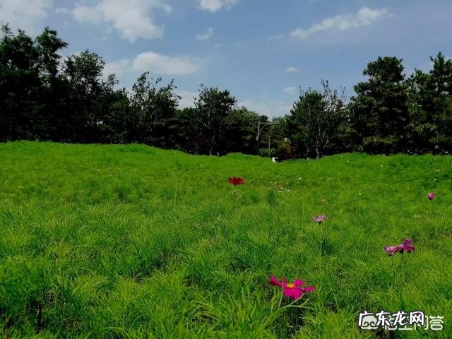 读书是默读还是朗读便于记忆