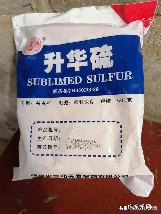 请问各位老师,怎样区别蜜蜂是受到大蜂螨还是小蜂螨的危害谢谢