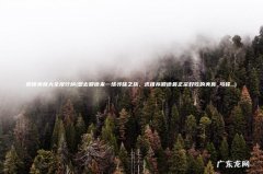 想去顺德来一场寻味之旅，求推荐顺德最正宗好吃的美食_马蜂&#8230; 顺德美食大全排行榜