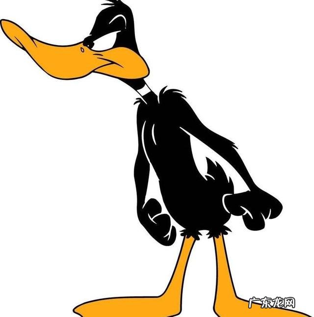 鸭子白天成堆睡正常吗该怎么做