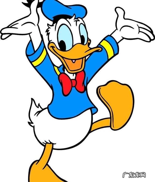 鸭子白天成堆睡正常吗该怎么做