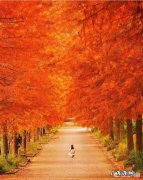 一岁九个月的宝宝不爱吃饭做什么给他吃比较有营养？