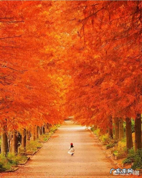 一岁九个月的宝宝不爱吃饭做什么给他吃比较有营养?