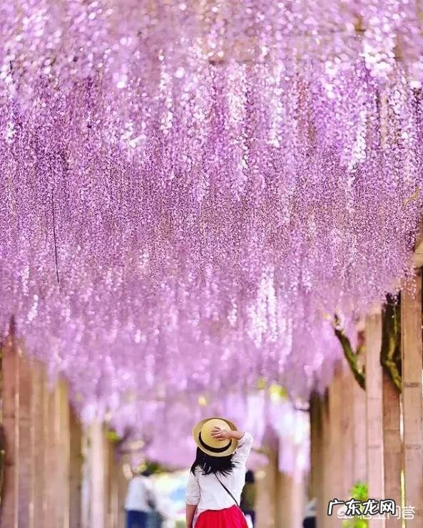 一岁九个月的宝宝不爱吃饭做什么给他吃比较有营养?