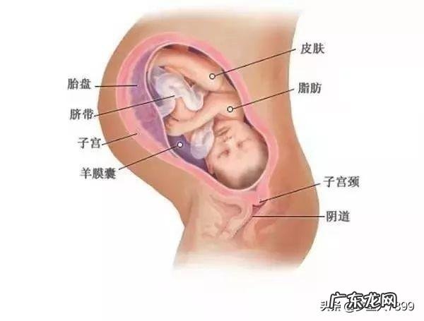 女模特身高体重多少 身高183的女模特,她的体重应该达到多少那?