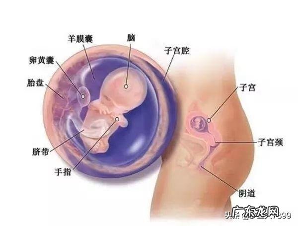 女模特身高体重多少 身高183的女模特,她的体重应该达到多少那?