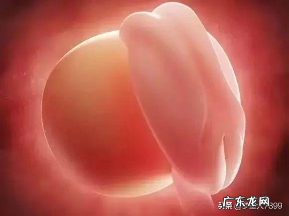 女模特身高体重多少 身高183的女模特,她的体重应该达到多少那?