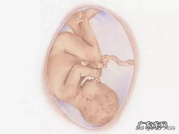 女模特身高体重多少 身高183的女模特,她的体重应该达到多少那?